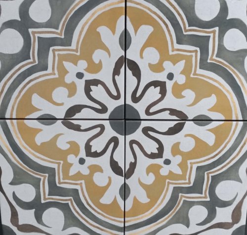 פרוגיה בז 20/20