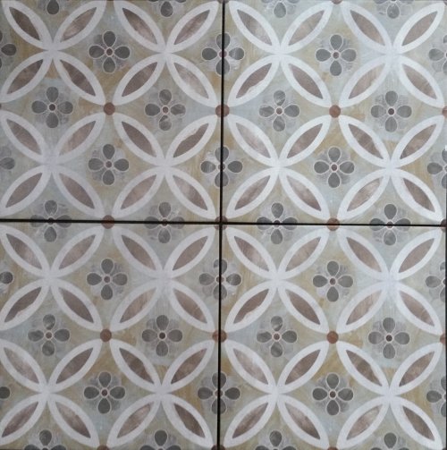 טרביסו אוליב 20/20