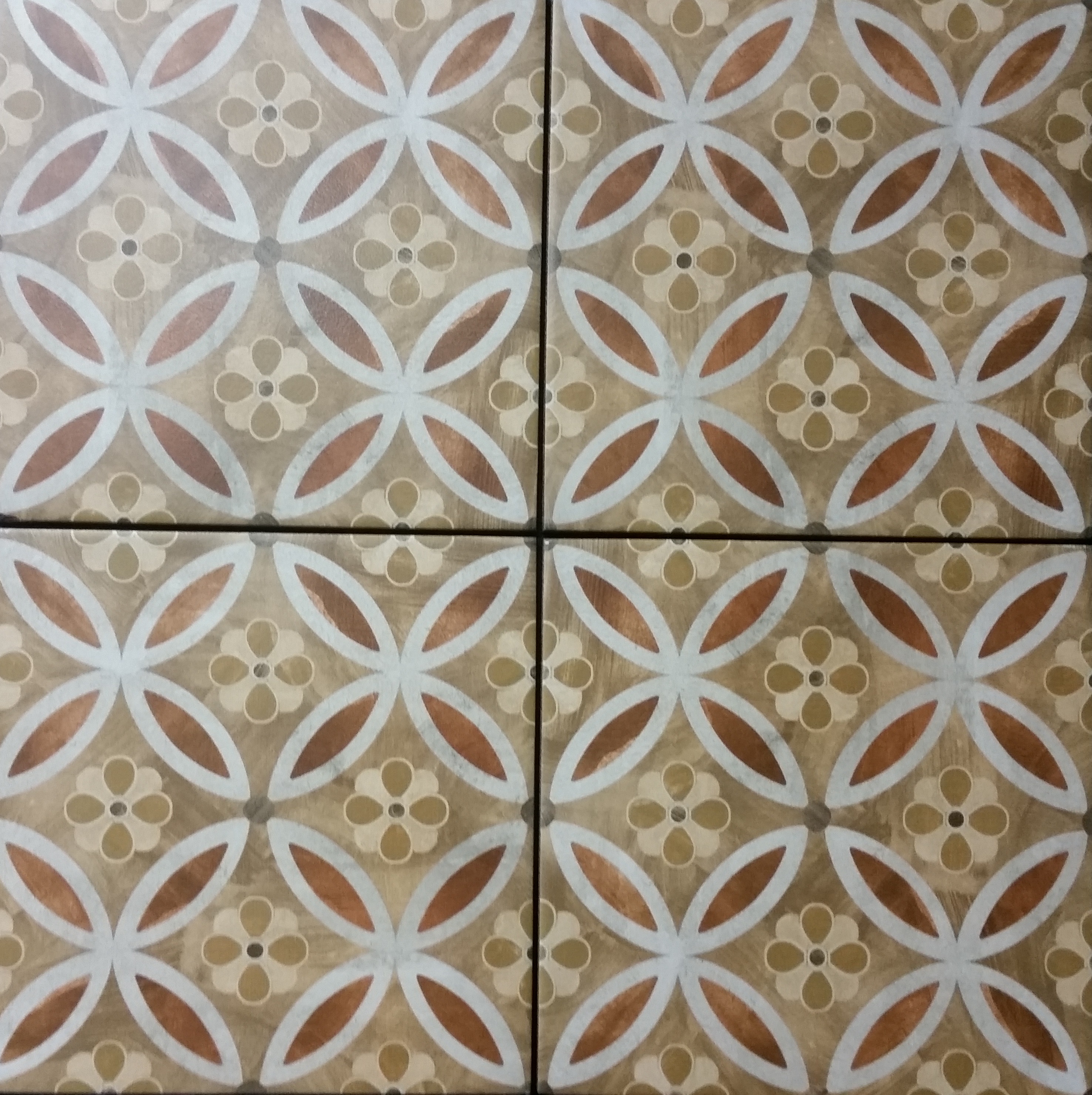 טרביסו בז 20/20